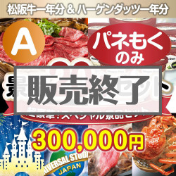 ＜販売終了＞【楽々まとめ買い景品セット：当選者20名様向け】全てパネもく！超豪華スペシャル景品20点セット Aコース [送料無料・全品目録パネル付・当日出荷可]