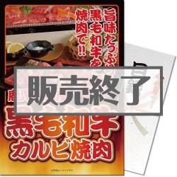 ＜販売終了＞【パネもく！】鹿児島県産黒毛和牛カルビ焼肉（A3パネル付）[当日出荷可]