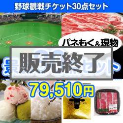 ＜販売終了＞【楽々まとめ買い景品セット：当選者30名様向け】野球観戦チケット30点セット 
