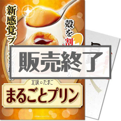 ＜販売終了＞【パネもく！】北坂たまごのたまごまるごとプリン（A4パネル付）[当日出荷可]