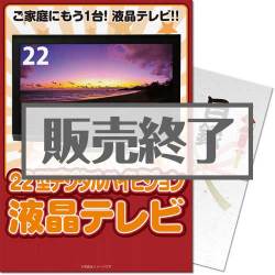 ＜販売終了＞【パネもく！】22型地デジ対応デジタルハイビジョン液晶テレビ（A4パネル付）[当日出荷可]