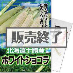 ＜販売終了＞【パネもく！】【期間限定】北海道十勝産ホワイトショコラ（A4パネル付）[当日出荷可]