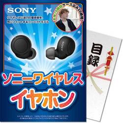 【パネもく！】ソニーフルワイヤレスイヤホン