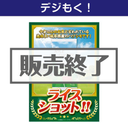 ＜販売終了＞【デジもく！】ライスショット！！（パネル・目録無し）