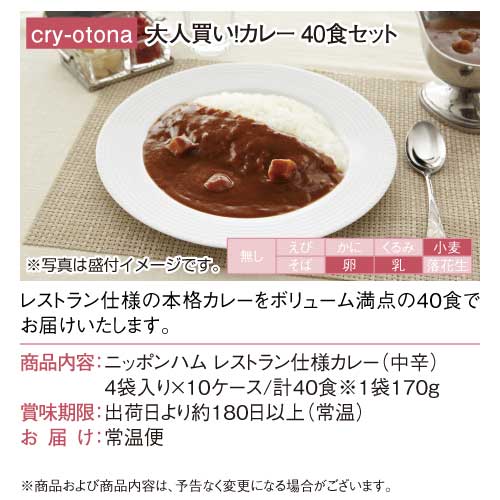 パネもく！】大人買い！カレー40食セット-景品パーク