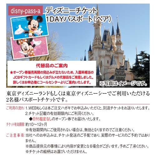 最大10 Offクーポン ディズニーチケット ペア パスポート