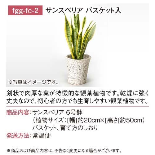 パネもく！】選べる！フラワー＆グリーンギフト FCコース-景品パーク