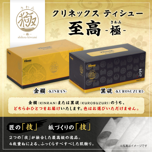 極普通のティッシュ sikou-k03.jpg