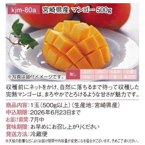 季節限定＞【パネもく！】宮崎県産マンゴー500g - 景品パーク