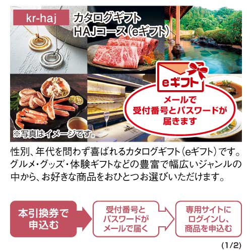 パネもく！】カタログギフト HAJコース（eギフト） - 景品パーク