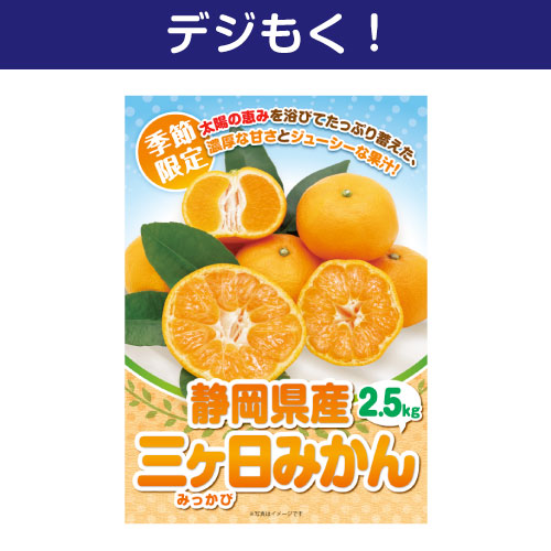 ＜2026年7月入荷予定＞＜季節限定＞【デジもく！】静岡県産 三ケ日みかん2.5kg（パネル・目録無し）　※販売期間：7/1 10時～10/14 10時