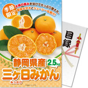＜季節限定＞【パネもく！】静岡県産 三ケ日みかん2.5kg　※販売期間：6/29 10時～10/14 10時