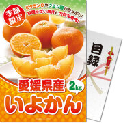 ＜季節限定＞【パネもく！】愛媛県産 いよかん2kg　※販売期間：9/1 10時～12/26 10時