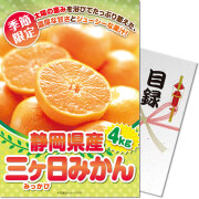 ＜季節限定＞【パネもく！】静岡県産 三ケ日みかん4kg　※販売期間：6/29 10時～10/14 10時