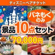 ディズニーペアチケット 10点セット