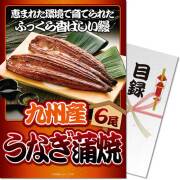 【パネもく！】九州産うなぎの蒲焼6尾