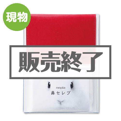 ＜販売終了＞レザーマスクケース【現物】