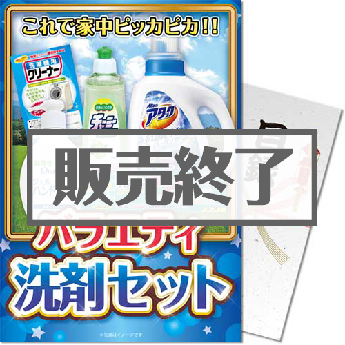 ＜販売終了＞【パネもく！】バラエティ洗剤セット（A4パネル付）