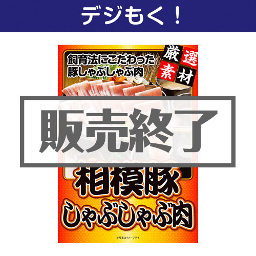 ＜販売終了＞【デジもく！】神奈川県産 相模豚しゃぶしゃぶ肉（パネル・目録無し）[当日メール納品可・送料無し]