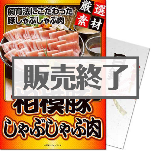 ＜販売終了＞【パネもく！】神奈川県産 相模豚しゃぶしゃぶ肉（A4パネル付）[当日出荷可]