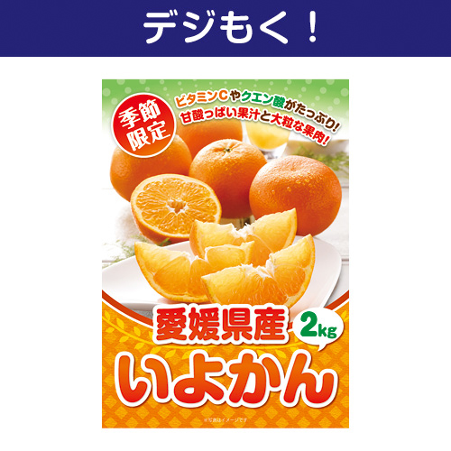 ＜2026年9月入荷予定＞＜季節限定＞【デジもく！】愛媛県産 いよかん2kg（パネル・目録無し）　※販売期間：9/1 10時～12/26 10時