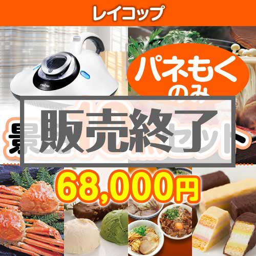 ＜販売終了＞【楽々まとめ買い景品セット：当選者10名様向け】レイコップ 10点セット [送料無料・全品目録パネル付・当日出荷可]