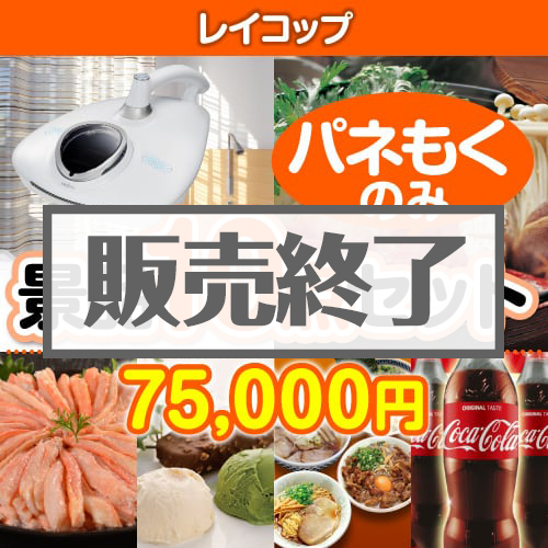 ＜販売終了＞【楽々まとめ買い景品セット：当選者10名様向け】レイコップ 10点セット