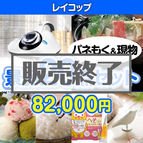 ＜販売終了＞【楽々まとめ買い景品セット：当選者20名様向け】レイコップ20点セット [送料無料・当日出荷可]