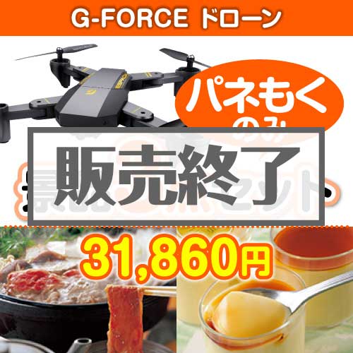 ＜販売終了＞【楽々まとめ買い景品セット：当選者3名様向け】G-FORCE ドローン3点セット [送料無料・全品目録パネル付・当日出荷可]