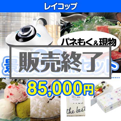 ＜販売終了＞【楽々まとめ買い景品セット：当選者30名様向け】レイコップ30点セット [送料無料・当日出荷可]
