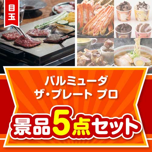 【楽々まとめ買い景品セット】バルミューダ　ザ・プレート プロ5点セット