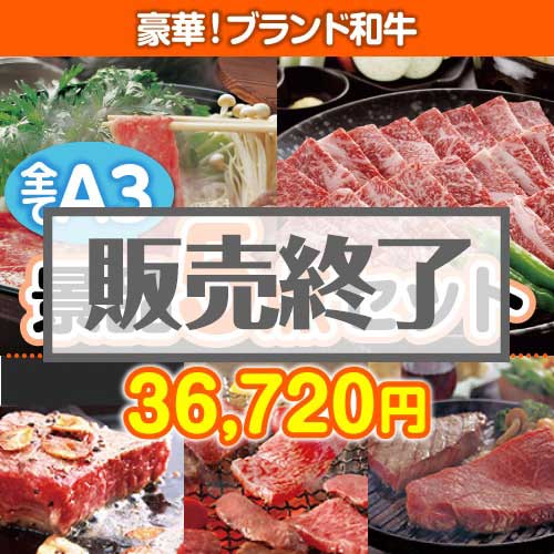 ＜販売終了＞【楽々まとめ買い景品セット：当選者5名様向け】ブランド和牛 5点セット
