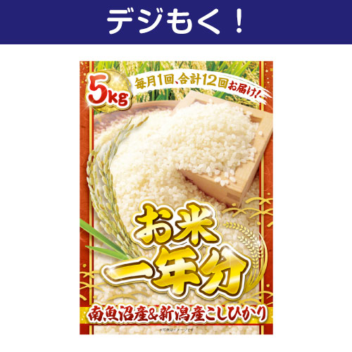 【デジもく！】＜お米一年分＞南魚沼産＆新潟産こしひかり5kgコース（パネル・目録無し）