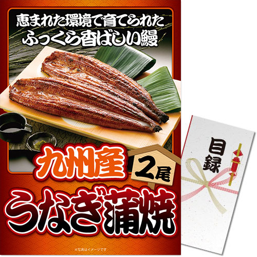 【パネもく！】九州産うなぎの蒲焼2尾（A3パネル付）