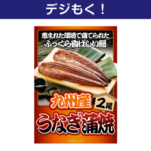 【デジもく！】九州産うなぎの蒲焼2尾（パネル・目録無し）