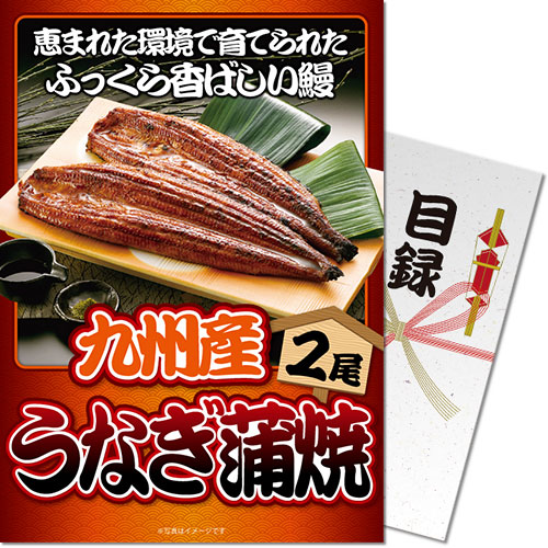 【パネもく！】九州産うなぎの蒲焼2尾