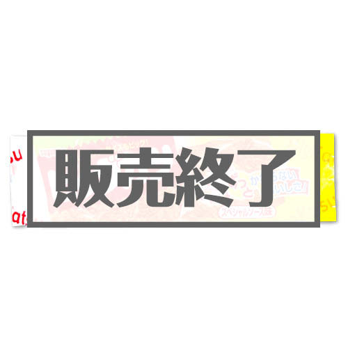 ＜販売終了＞すぐるスーパービッグカツ【現物】