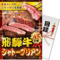 【パネもく！】飛騨牛 A5等級シャトーブリアン