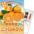 ＜季節限定＞【パネもく！】静岡県産 三ケ日みかん2.5kg　※販売期間：7/1 10時～10/14 10時