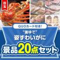 【楽々まとめ買い景品セット】QUOカード付き！“釜ゆで”姿ずわいがに20点セット（パネもく！10点・QUOカード10点）