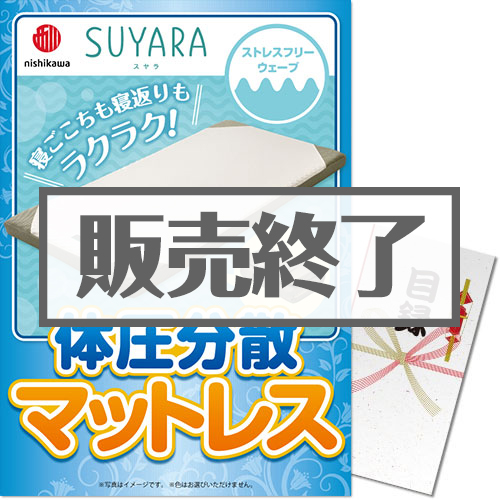 ＜販売終了＞【パネもく！】西川 体圧分散マットレス（A3パネル付）[当日出荷可]