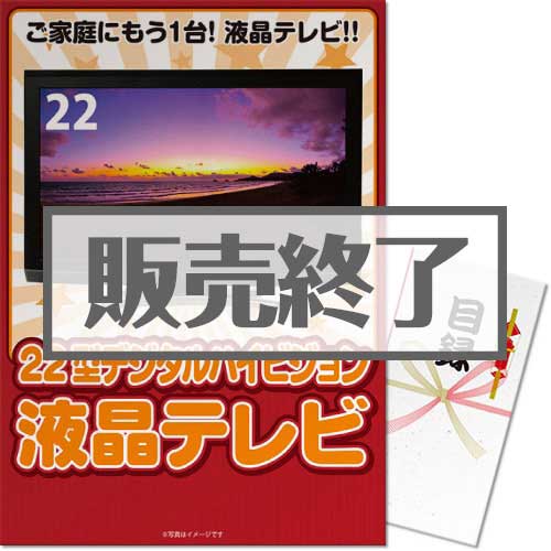 ＜販売終了＞【パネもく！】22型地デジ対応デジタルハイビジョン液晶テレビ（A3パネル付）[送料無料・当日出荷可]