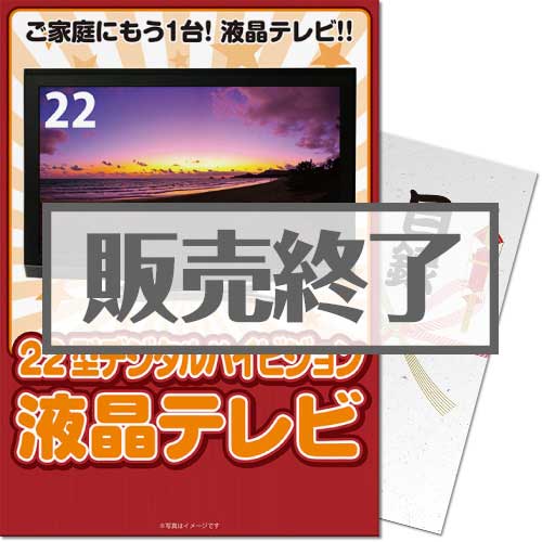 ＜販売終了＞【パネもく！】22型地デジ対応デジタルハイビジョン液晶テレビ（A4パネル付）[当日出荷可]