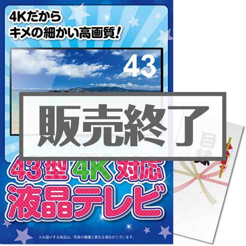 ＜販売終了＞【パネもく！】43型4K液晶テレビ（A3パネル付）