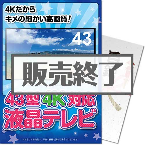 ＜販売終了＞【パネもく！】43型4K液晶テレビ