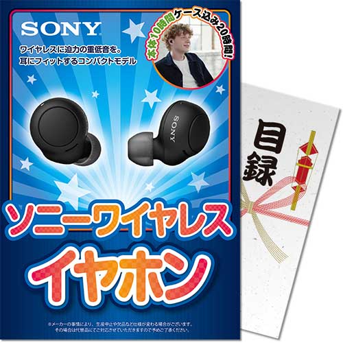 【パネもく！】ソニーフルワイヤレスイヤホン