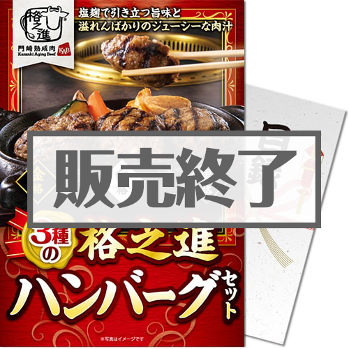 ＜販売終了＞【パネもく！】格之進 3種のハンバーグセット（A4パネル付）