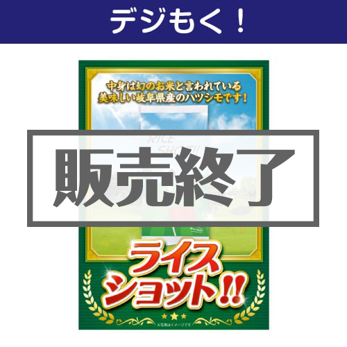 ＜販売終了＞【デジもく！】ライスショット！！（パネル・目録無し）