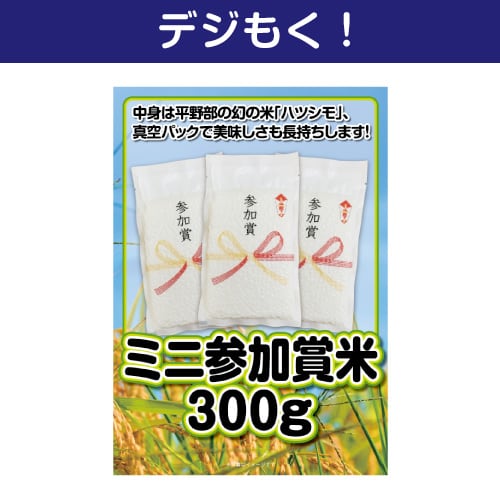 ＜販売終了＞【デジもく！】ミニ参加賞米300g（100g×3個）（パネル・目録無し）