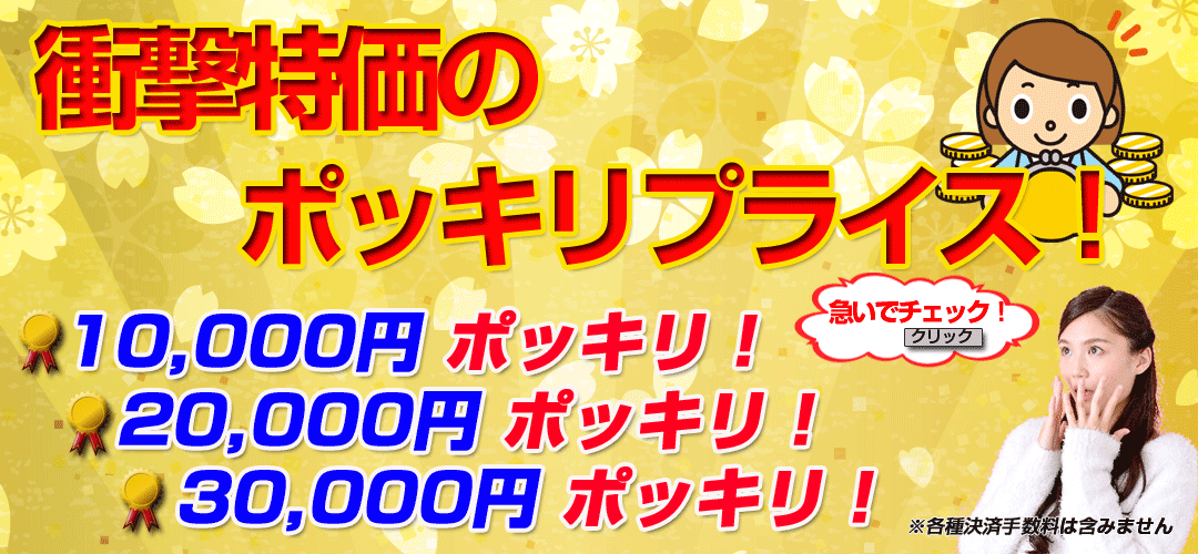 ポッキリ価格バナー